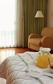 Туры в отель Hotel Villa Florida Туры в отель Hotel Villa Florida