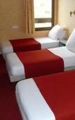 Туры в отель Enzo Hotels Vierzon By Kyriad Direct Туры в отель Enzo Hotels Vierzon By Kyriad Direct