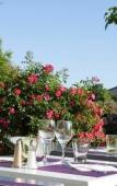 Туры в отель ibis Styles Chinon Туры в отель ibis Styles Chinon