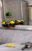 Туры в отель Hotel Marzia Туры в отель Hotel Marzia