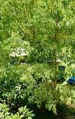 Туры в отель iRoHa Garden Hotel & Resort Туры в отель iRoHa Garden Hotel & Resort