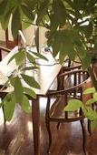 Туры в отель iRoHa Garden Hotel & Resort Туры в отель iRoHa Garden Hotel & Resort