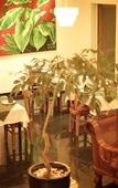 Туры в отель iRoHa Garden Hotel & Resort Туры в отель iRoHa Garden Hotel & Resort