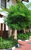 Туры в отель Grand Lexis Port Dickson Туры в отель Grand Lexis Port Dickson