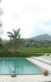 Туры в отель Tea Garden Resort Туры в отель Tea Garden Resort