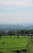 Туры в отель Tea Garden Resort Туры в отель Tea Garden Resort
