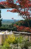 Туры в отель Hotel Villa Cipriani Туры в отель Hotel Villa Cipriani