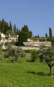 Туры в отель Hotel Villa Cipriani Туры в отель Hotel Villa Cipriani