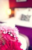 Туры в отель Mercure Angers Centre Gare Туры в отель Mercure Angers Centre Gare
