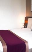 Туры в отель Mercure Angers Centre Gare Туры в отель Mercure Angers Centre Gare