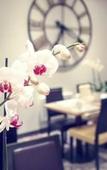 Туры в отель Mercure Angers Centre Gare Туры в отель Mercure Angers Centre Gare
