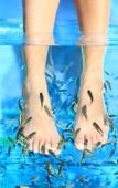 Туры в отель Hotel Spa du Beryl Туры в отель Hotel Spa du Beryl