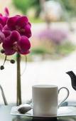 Туры в отель Hotel Spa du Beryl Туры в отель Hotel Spa du Beryl