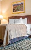 Туры в отель Quality Inn & Suites Palm Island Indoor Waterpark Туры в отель Quality Inn & Suites Palm Island Indoor Waterpark