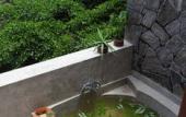 Туры в отель Tree of Life Nature Resort Туры в отель Tree of Life Nature Resort