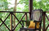 Туры в отель Tree of Life Nature Resort Туры в отель Tree of Life Nature Resort