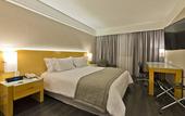 Туры в отель Melia Campinas Туры в отель Melia Campinas