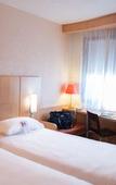 Туры в отель ibis Moulins Sud Туры в отель ibis Moulins Sud