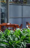 Туры в отель JW Marriott Hotel Pune Туры в отель JW Marriott Hotel Pune