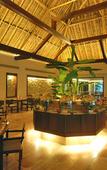 Туры в отель Vedic Village Spa Resort Туры в отель Vedic Village Spa Resort