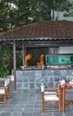Туры в отель The Fern Kochi, Series by Marriott Туры в отель The Fern Kochi, Series by Marriott
