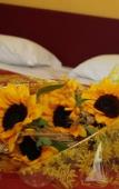 Туры в отель Hotel Mantegna Stazione , Mantegna Hotels Туры в отель Hotel Mantegna Stazione , Mantegna Hotels