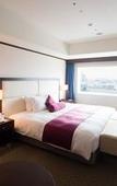 Туры в отель ANA Crowne Plaza Okayama by IHG Туры в отель ANA Crowne Plaza Okayama by IHG