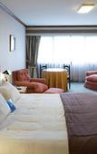 Туры в отель Abba Presidente Suites Puerto Montt Туры в отель Abba Presidente Suites Puerto Montt