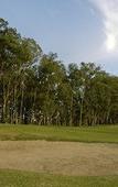 Туры в отель Sheraton Colonia Golf & Spa Resort Туры в отель Sheraton Colonia Golf & Spa Resort