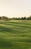 Туры в отель Sheraton Colonia Golf & Spa Resort Туры в отель Sheraton Colonia Golf & Spa Resort