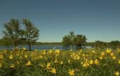 Туры в отель Arapey Thermal Resort & Spa Туры в отель Arapey Thermal Resort & Spa