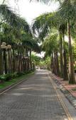Туры в отель Camela Hotel & Resort Туры в отель Camela Hotel & Resort
