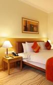 Туры в отель Accord Puducherry Туры в отель Accord Puducherry