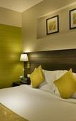 Туры в отель The Fern Residency Vadodara, Series by Marriott Туры в отель The Fern Residency Vadodara, Series by Marriott