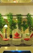 Туры в отель The Fern Residency Rajkot, Series by Marriott Туры в отель The Fern Residency Rajkot, Series by Marriott