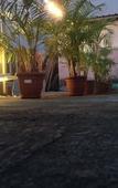 Туры в отель Woodpecker Lodge Kuching Туры в отель Woodpecker Lodge Kuching
