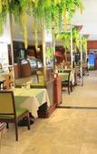 Туры в отель Kosa Hotel & Shopping Mall Туры в отель Kosa Hotel & Shopping Mall
