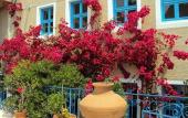 Туры в отель Hotel Agia Markella Туры в отель Hotel Agia Markella