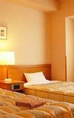 Туры в отель Hotel Route-Inn Aomori Ekimae Туры в отель Hotel Route-Inn Aomori Ekimae
