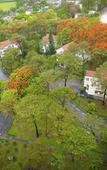 Туры в отель Sai Gon Ha Long Hotel Туры в отель Sai Gon Ha Long Hotel