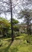 Туры в отель Sai Gon Ha Long Hotel Туры в отель Sai Gon Ha Long Hotel