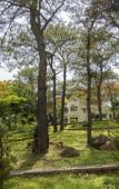 Туры в отель Sai Gon Ha Long Hotel Туры в отель Sai Gon Ha Long Hotel