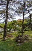 Туры в отель Sai Gon Ha Long Hotel Туры в отель Sai Gon Ha Long Hotel