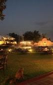 Туры в отель Silent Shores Resort & Spa Туры в отель Silent Shores Resort & Spa