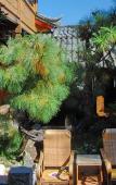 Туры в отель Zen Garden Hotel Lijiang Туры в отель Zen Garden Hotel Lijiang