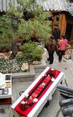 Туры в отель Zen Garden Hotel Lijiang Туры в отель Zen Garden Hotel Lijiang
