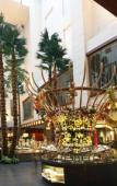 Туры в отель Haiyun Jinjiang International Hotel Туры в отель Haiyun Jinjiang International Hotel