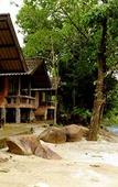 Туры в отель Khaosok Rainforest Resort Туры в отель Khaosok Rainforest Resort