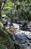 Туры в отель Khaosok Rainforest Resort Туры в отель Khaosok Rainforest Resort