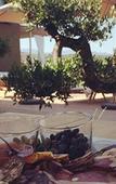 Туры в отель Hotel Version Maquis Santa Manza Туры в отель Hotel Version Maquis Santa Manza